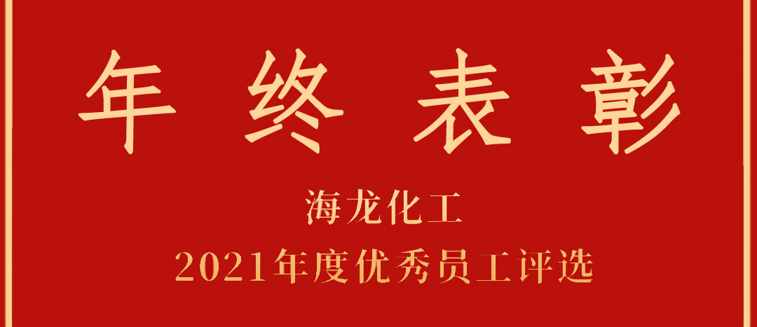 <strong>表彰！海龍化工2021年度優(yōu)秀員工優(yōu)秀部門評選</strong>